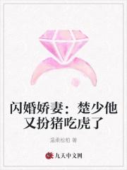 宝贝别闹全文免费阅读