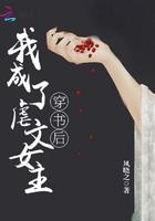 铠甲少年全文免费阅读