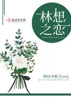 凤舞九天(女尊)小莉子