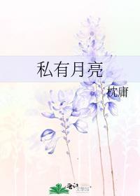 私有月亮