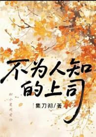 不为人知的上司