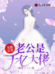 宠物小精灵gba最新版