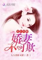 蒸汽时代12天简单