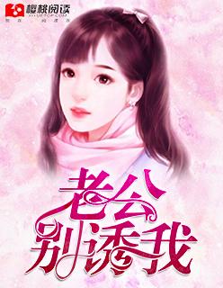 豪门前妻追爱全文免费阅读