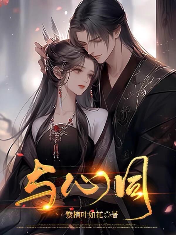 甄嬛传 多少块砖