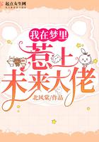 冷面王爷俏医妃